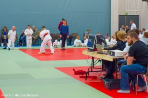 20160331 Bild 27 - Annalinnea Ottosson 